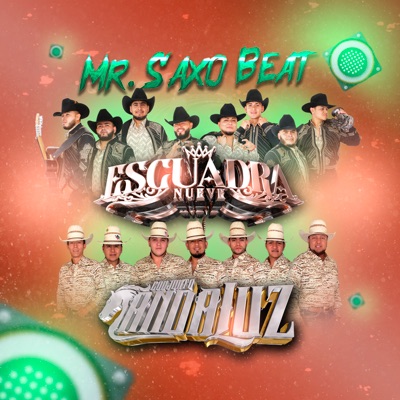 Mr. Saxo Beat - Single