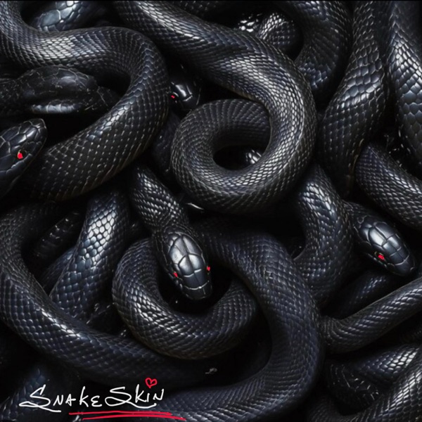SnakeSkin (feat. RXY BLXZ3)