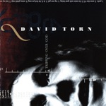 David Torn - Acosay Phodei Mojo