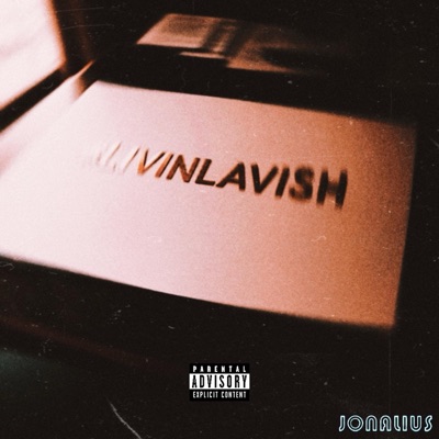 #LIVINLAVISH (feat. 2MEY & Z@E) - Single