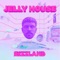 Rizz Waves - Jelly House lyrics