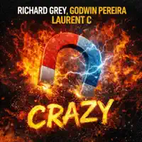 Crazy — Richard Grey, Godwin Pereira & Laurent C .