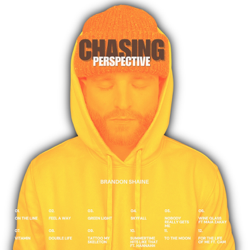 Chasing Perspective - Brandon Shaine Cover Art