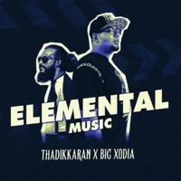 Elemental Music (feat. THADIKKARAN) - Single - Big Xodia
