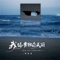 我偏要独自美丽 - Single - 李发发