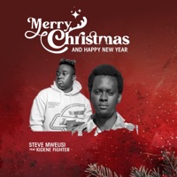 Merry Christmas and Happy New year (feat. Kidene Fighter) - Single - Steve Mweusi
