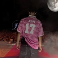 Crusade - Single - Lushe