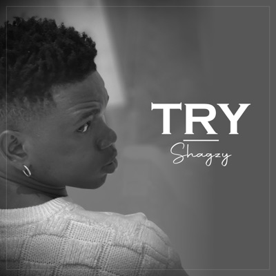 Try - Single