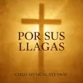 Por sus llagas