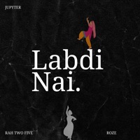 Labdi Nai - Single - RAHTWOFIVE, Roze & Jupyter