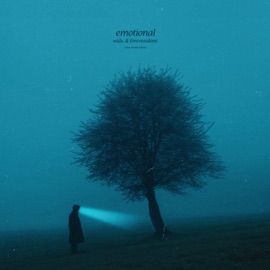 emotional (sped up) widx. & foreveralone