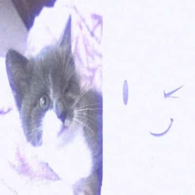 function - Single
