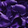 MOONLIGHT_PETALS