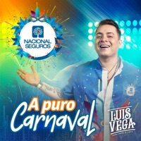 A Puro Carnaval (feat. Luis Vega) - Single - Nacional Seguros