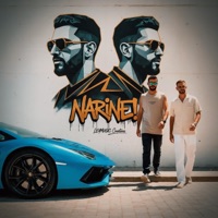 NARINE (feat. Ali Kayir) [Club Remix] - Single - Leymusic