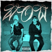 WOW (feat. edxandeR) - Single - LilSIIX_OFICIAL