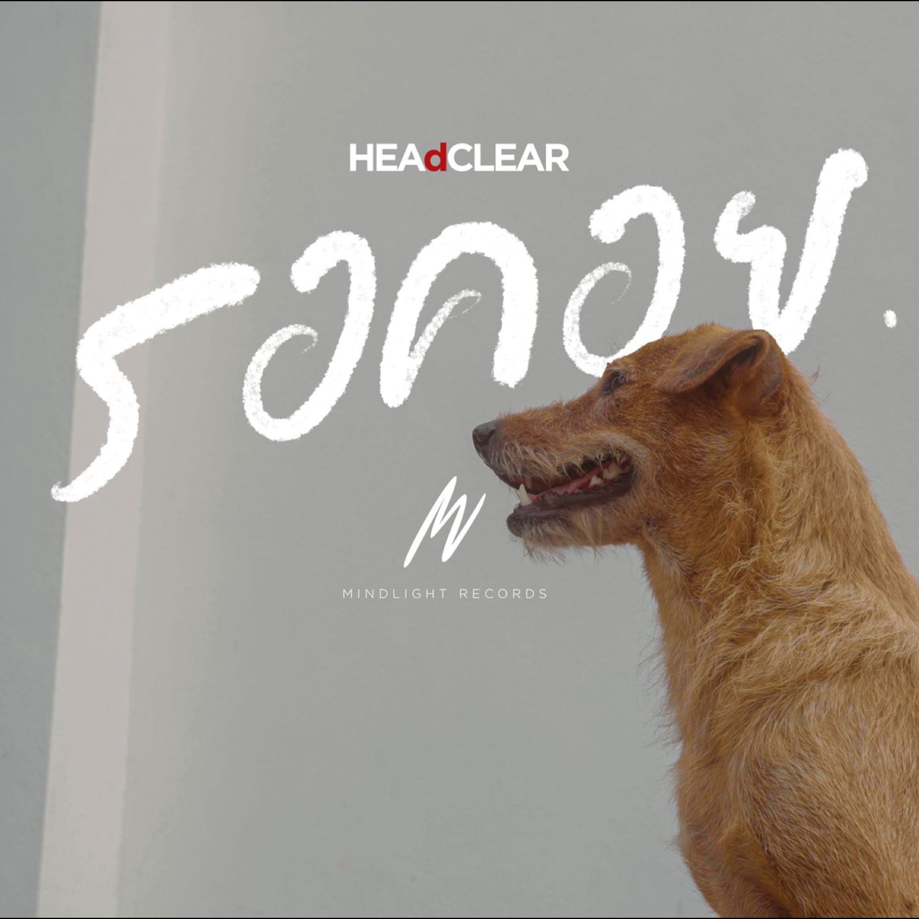 HEAdCLEAR - รอคอย