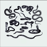 Me vs Me - Single - synnforever