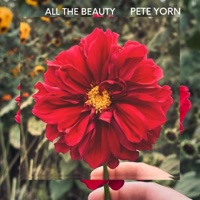 All The Beauty
