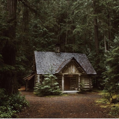 Stash House In The Forest - Single