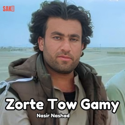 Nasir Nashad - Zolom Ha Kany