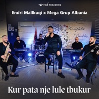 Kur pata nje lule tbukur - Single - Endri Mallkuqi & Mega Grup Albania