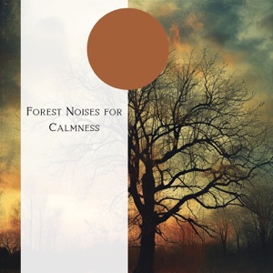 Forest Noises for Calmness
