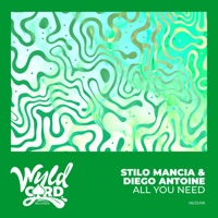 All You Need - Single - Diego Antoine & Stilo Mancia