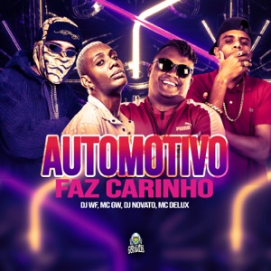 Automotivo Faz Carinho