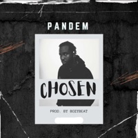 Chosen - Single - Pandem