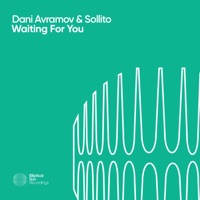 Waiting for You - Single - Dani Avramov & Sollito