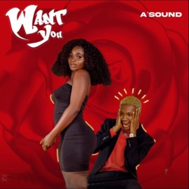 Want You Asound