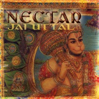 Nectar: Live Kirtan & Pagan Remixes - Jai Uttal