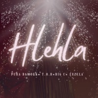 Hlehla (feat. Big C, T.O.B & Fezela) - Single - Pura Damoon
