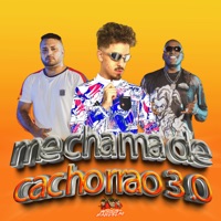 Me Chama De Cachorrao 3.0 (feat. Valesca Popozuda) - Single - DJ FELYPINHO 013, DJ Alef Rodrigo & mc toy