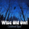 Wise Old Owl