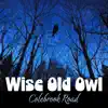 Colebrook Road - Wise Old Owl
