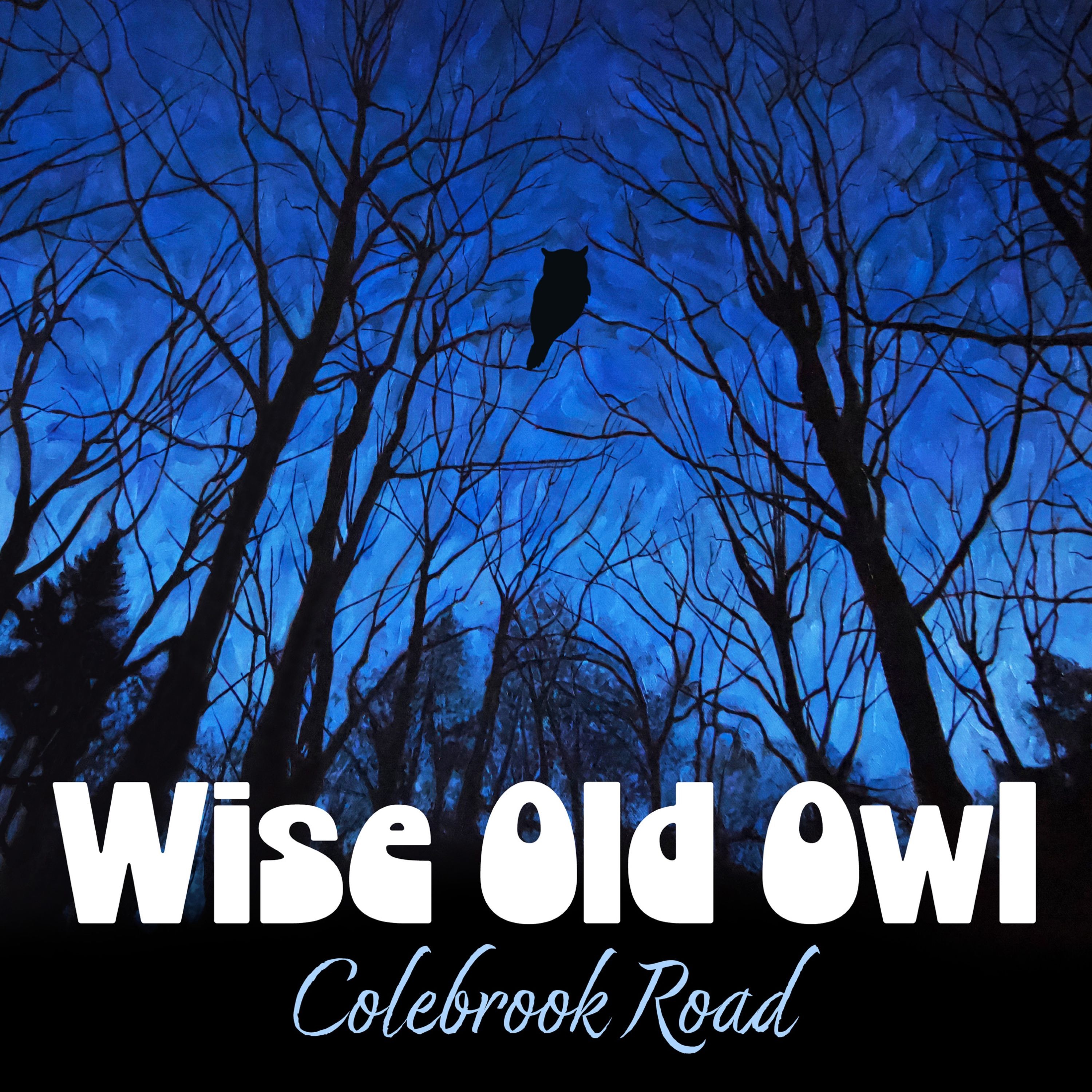 Wise Old Owl - EP