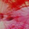 Dream Come True (feat. bbyclose) [Edit] - Felix Jaehn