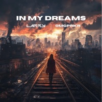 In My Dreams - Single - DJ Larry & OMGPRKR