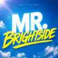 Mr Brightside