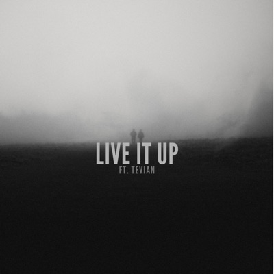 Live It Up - Single