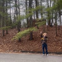 LONG WAY HOME - Single - PRETTY NICKY