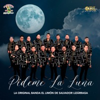 PIDEME LA LUNA