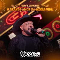 O Grande Amor da Minha Vida - Single - Douglas Gavião