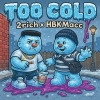 Too Cold (feat. 2Rich) - Single - HbkMacc
