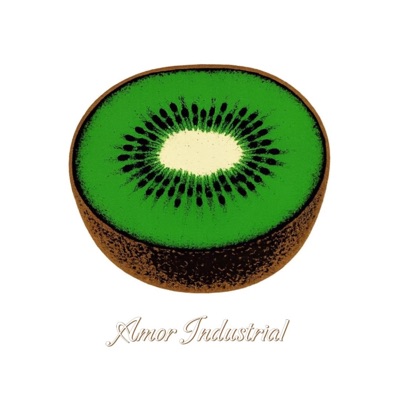 Amor Industrial (Kiwis en Australia) (feat. Fama y Guita) - Single