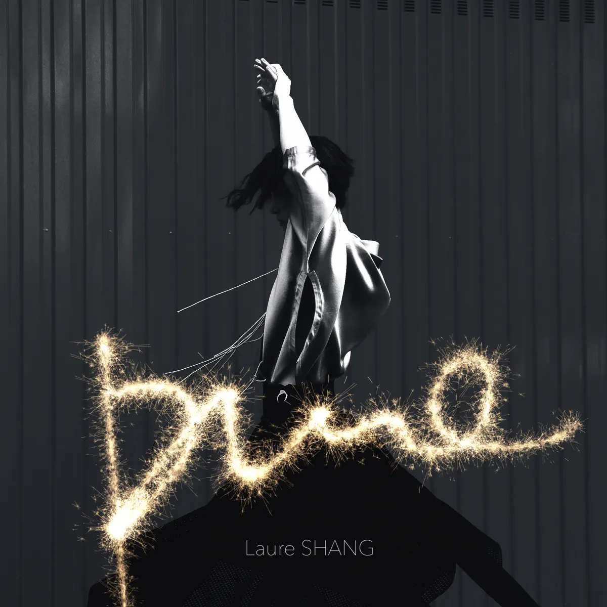 尚雯婕 - Black & Golden . pure (2016) [iTunes Plus AAC M4A]-新房子