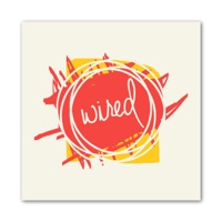 Steel Drum - Single - Tayllor