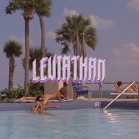 Call’in (Leviathan 2026) - Single - Hundehuset & Skitz
